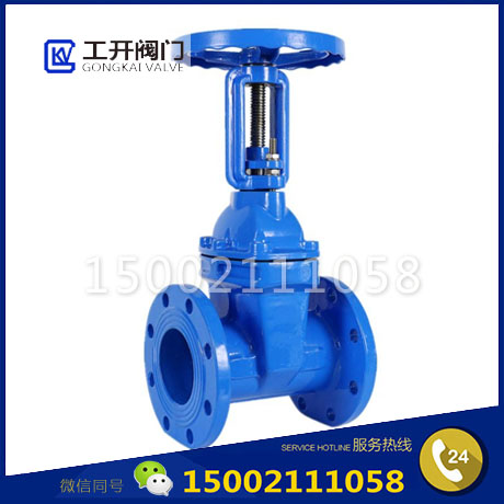 Z41X-16Q軟密封明桿閘閥-給排水手動(dòng)閘閥-球墨鑄鐵明桿閘閥-RRHX明桿